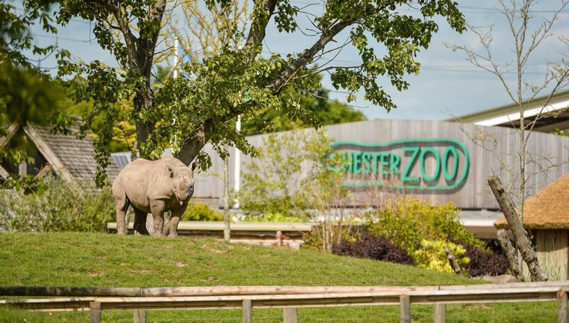 Spitzmaulnashorn. – Bild: ORF/​Universal/​Steve Rawlins