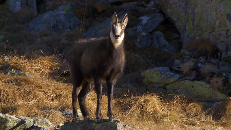 . – Bild: Bergblick