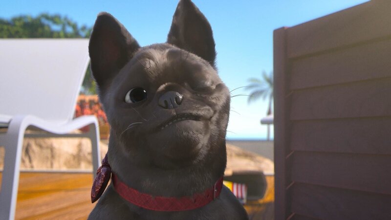 Bild: PLURIMEDIA (TeamTo)