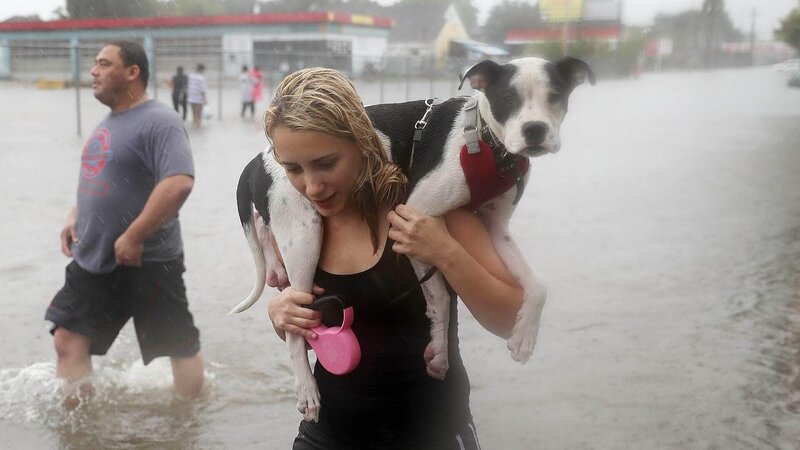 Wasser kann ungeheure Kräfte entwickeln. Die Gefahr lauert dabei in unterschiedlicher Form. Hurrikan Harvey zwang in Houston, Texas, USA, Naomi und ihren Hund Simba sowie ihre Nachbarn im August 2017 zum Verlassen ihrer Häuser. – Bild: TVNOW /​ Getty Images/​Joe Raedle