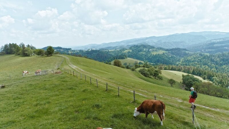 Wanderer auf Grenzpanoramaweg mit Blick Richtung Slowenien. – Bild: Arte