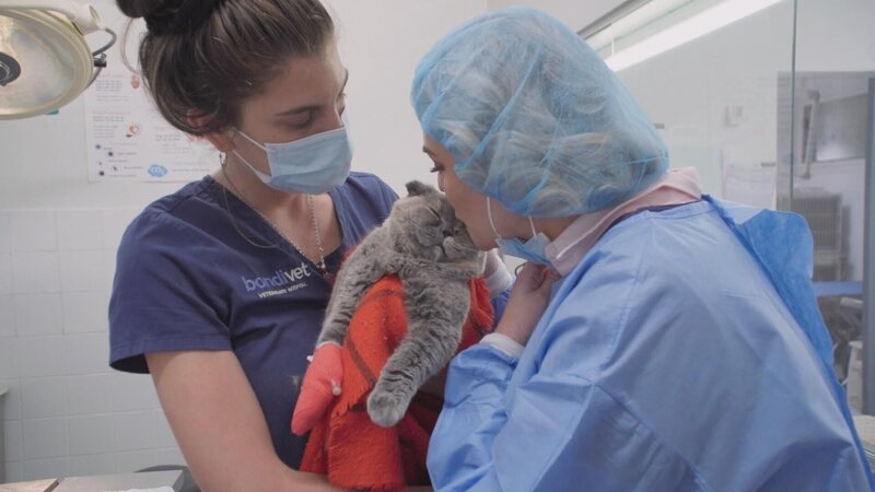 Bild: 2023 WTFN Entertainment Pty Ltd. Lizenzbild frei