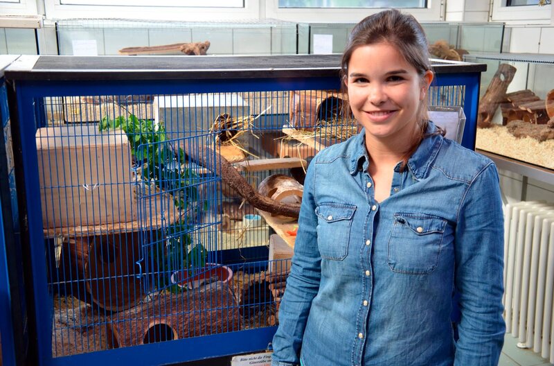 Degus brauchen viel Platz. In diesem Käfig – hier im Tierheim München – können höchstens drei Tiere leben. – Bild: BR/​TEXT + BILD Medienproduktion GmbH & Co. KG