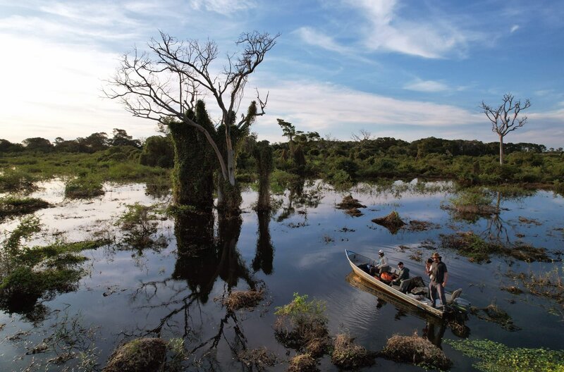Das von Flussläufen und Sümpfen durchzogene Pantanal ist das größte Feuchtgebiet der Welt. – Bild: FRENCH CONNECTION FILMS