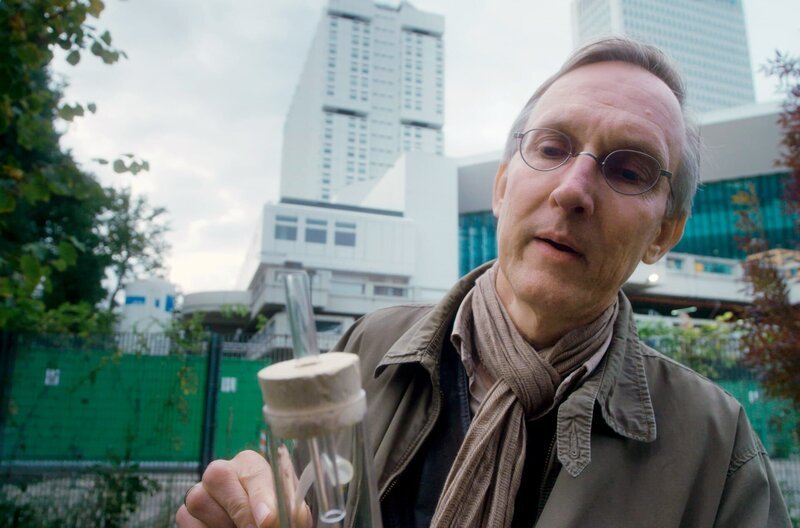 Kees Moeliker, Direktor des Naturhistorischen Museums Rotterdam, findet beim Streifzug durch das städtische Naturschutzgebiet seltene Insekten. – Bild: SWR/​NGF Geyhalterfilm