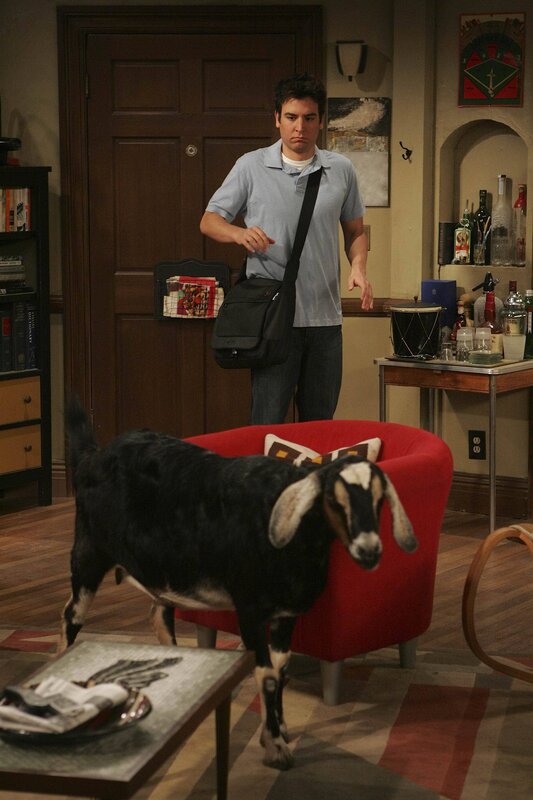 Tierischer Besuch: Ted (Josh Radnor) … – Bild: 20th Century Fox International Television Lizenzbild frei