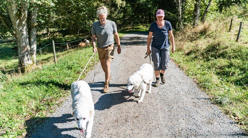 Holger und Martina Albrecht mit den neuen Herdenschutzhunden Isolde und Nanuk. – Bild: NDR/​SWR/​Caren Braun