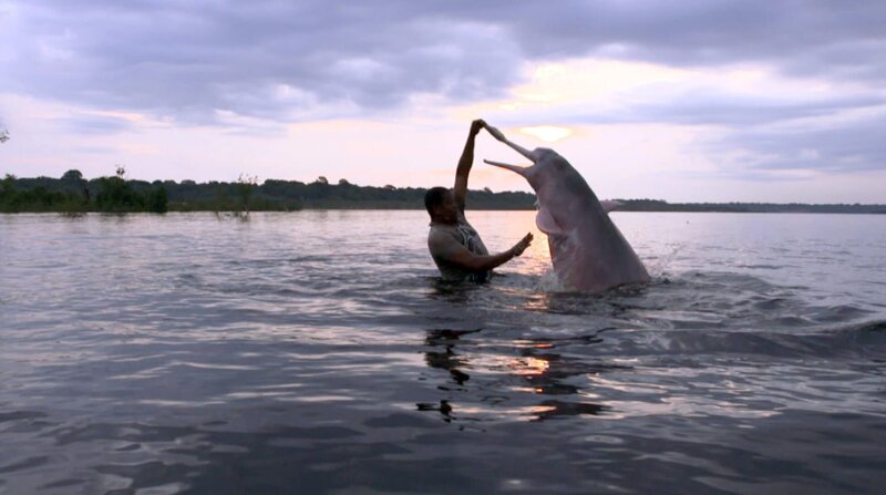 Amazonas-Indianer verehren und fürchten die Flussdelfine als Boten der Götter. – Bild: ZDF/​BR