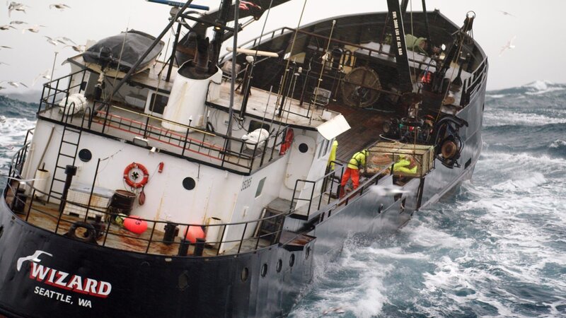 The Wizard. – Bild: PLURIMEDIA (Discovery Communications LLC)