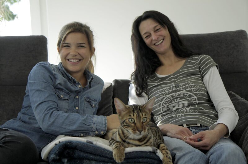 Bengalkater Merlin lässt sich gerne streicheln. – Bild: BR/​TEXT + BILD Medienproduktion GmbH & Co. KG