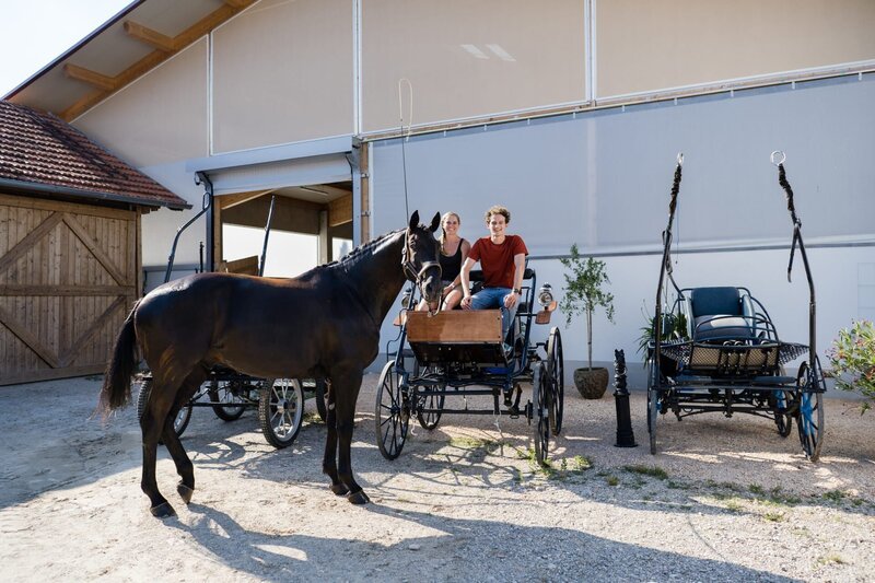 Mit Kutscherin Conny und ihrem Pferd Trakki hat der Checker seine erste Fahrstunde auf einer Kutsche. – Bild: BR/​megaherz gmbh/​Hans-Florian Hopfner