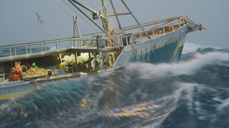 The Cornelia Marie Crew sorting in icy, stormy conditions. – Bild: Discovery Communications LLC