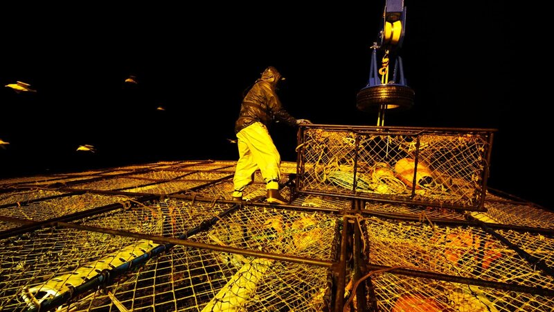 Nick Mavar, deckhand aboard the Northwestern, helps to stack pots. – Bild: Discovery Communications, LLC