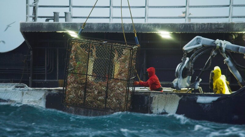 The Southern Wind crew pulls up a pot of opies. – Bild: Discovery Channel /​ Discovery Communications, LLC /​ Shane Moore