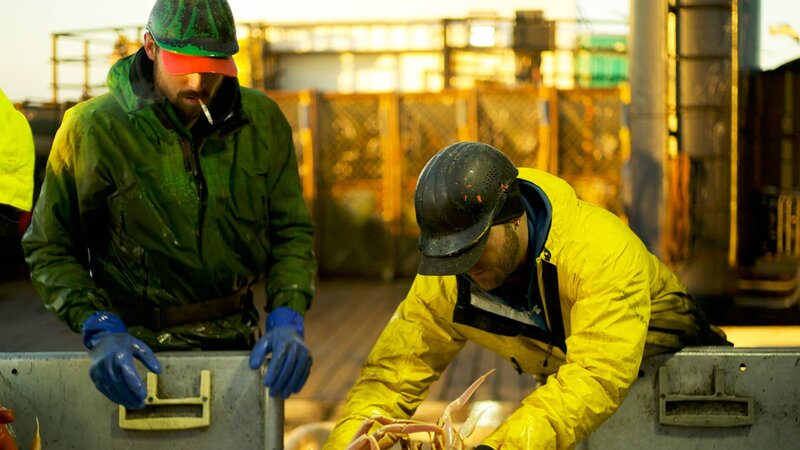 Southern Wind Deckhand Tall Guy and Engineer Munsey sort a large opies catch on the table. – Bild: Discovery Communications, LLC
