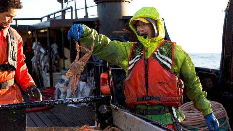 The Wizard crew pulls up another pot of Opies. – Bild: Discovery Communications, LLC