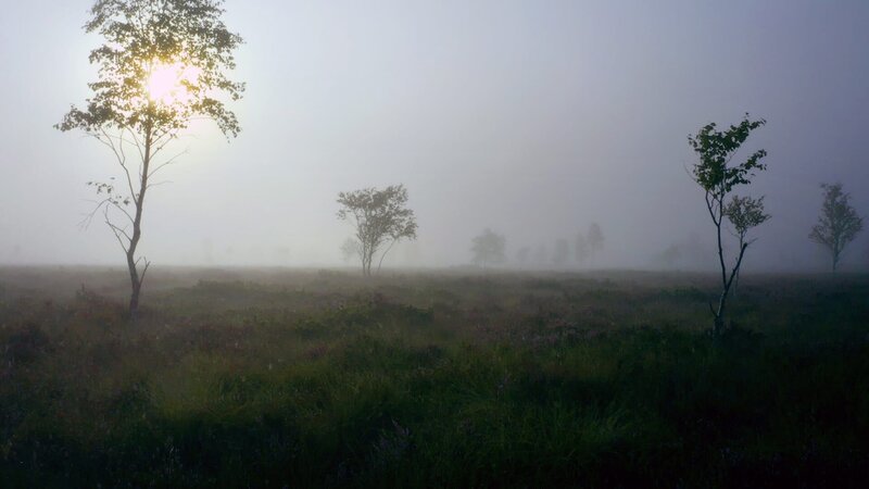 Pürgschachen Moor in Ardning. – Bild: Posch TV Filmproduktion/​Franz Po /​ ZDF