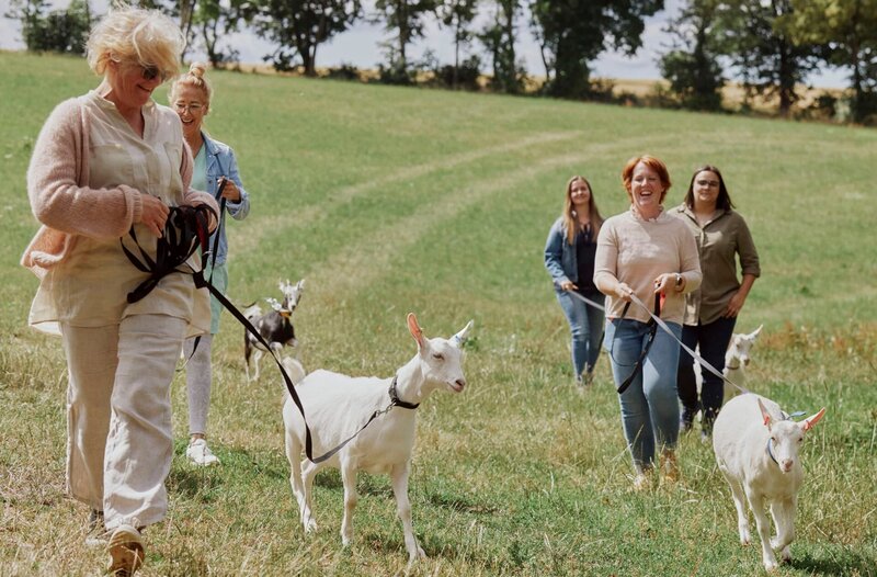 Ziegenwanderung mit den Landfrauen – Bild: SWR/​MEGAHERZ GmbH/​Phillipp Thurmaier