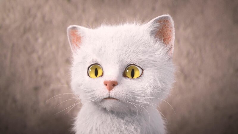 Bild: PLURIMEDIA (TeamTo)