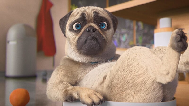 Bild: PLURIMEDIA (TeamTo)