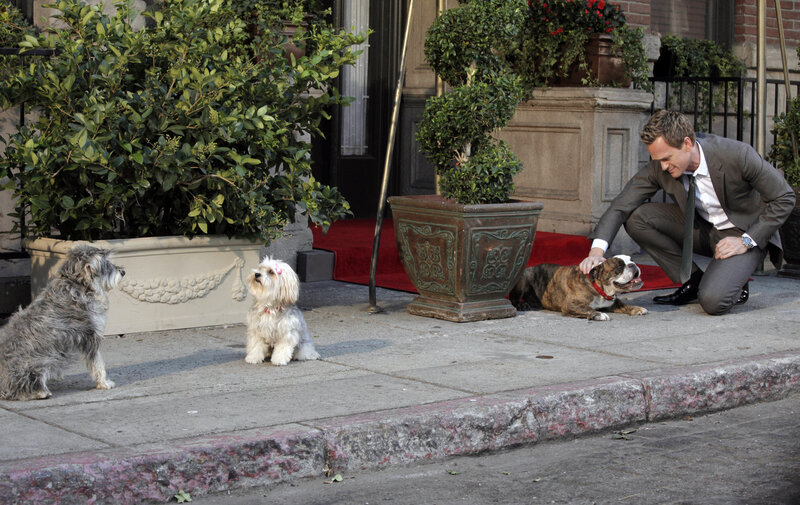 Hat eine besondere Idee, um Frauen aufzureißen: Barney (Neil Patrick Harris) … – Bild: Twentieth Century Fox Film Corporation