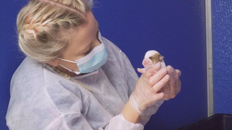 Bild: 2023 WTFN Entertainment Pty Ltd. Lizenzbild frei