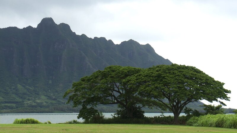 Tree, lake and mountains. – Bild: Discovery Communications, Inc.