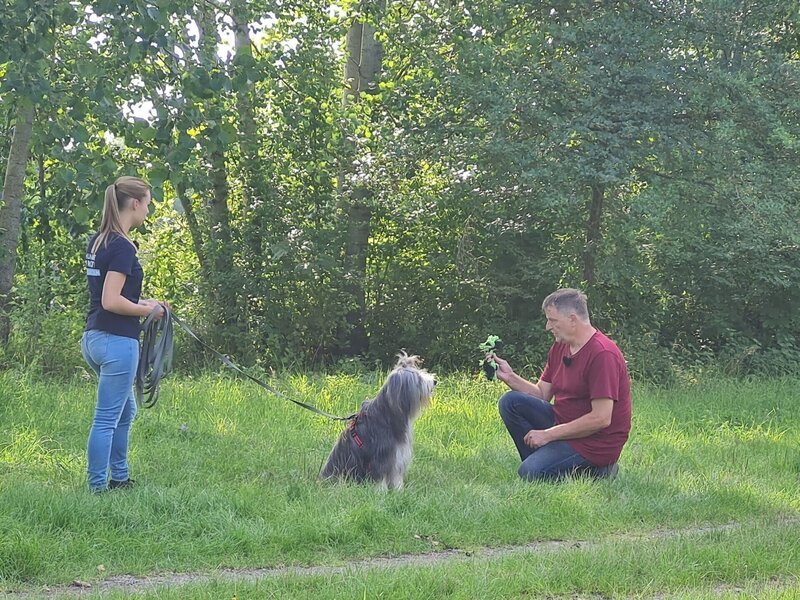 Dieter mit Bearded Colliehündin Elli und Trainerin Sophie. – Bild: RTL /​ Mina TV