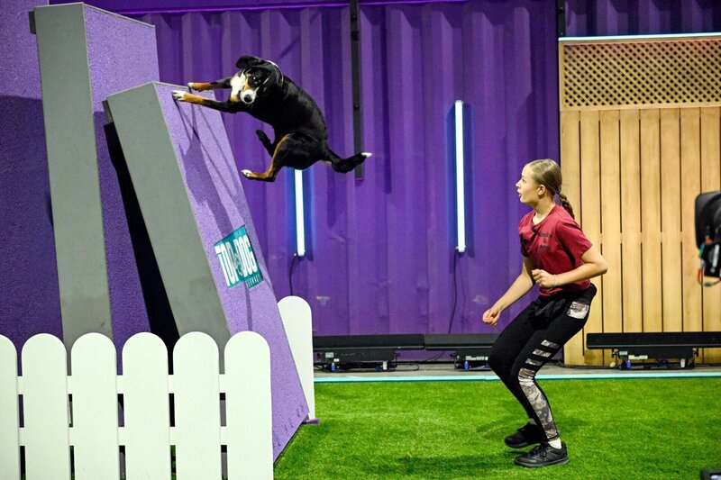 Emilia Seja mit ihrem Appenzeller Sennenhund Amy in Runde 1. – Bild: RTL /​ Markus Hertrich