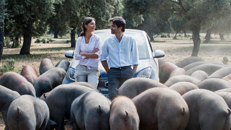 Ein Sommer in Salamanca Zu Besuch bei den Pata-Negra-Schweinen: Susan Hoecke als Rike, Fernando Corral als Carlos – Bild: SRF/​ZDF/​Manju Sawhney