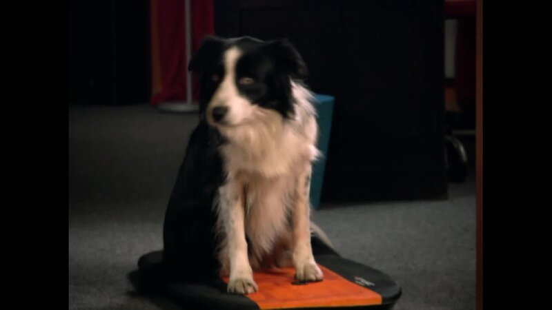 . – Bild: Comedy & Shows