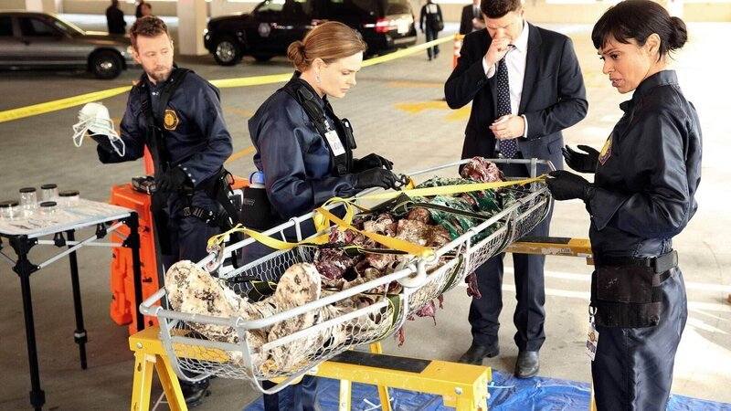 Hodgins (TJ Thyne, l.), Brennan (Emily Deschanel, 2.v.l.), Booth (David Boreanaz) und Cam (Tamara Taylor) versuchen eine stark verweste Leiche zu identifizieren und werden durch typische Verletzungen zunächst in die Irre geführt. – Bild: TVNOW /​ FOX