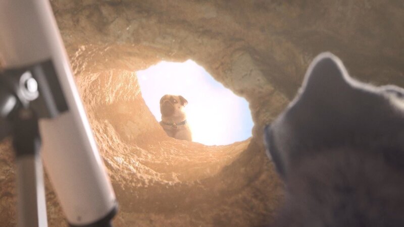 Bild: PLURIMEDIA (TeamTo)