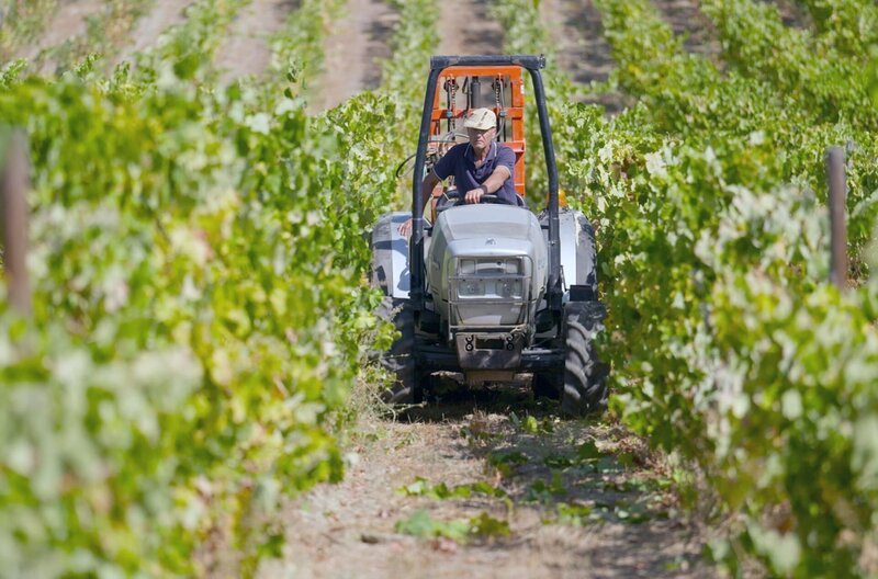 Auf der Quinta do Sossego, was so viel wie „Gutshof der Ruhe“ bedeutet, lebt und arbeitet Joaquím Felix bereits in der zweiten Generation als Winzer und Weinbauer. – Bild: Kinescope Film/​Frederik Klose- /​ Kinescope Film/​Frederik Klose-Gerlich