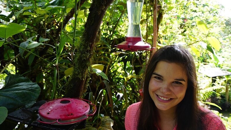 Anna und die wilden Tiere – Kolibris – Die Meisterflieger 5 – Bild: BR/​Text+Bild Medienproduktion GmbH & Co. KG