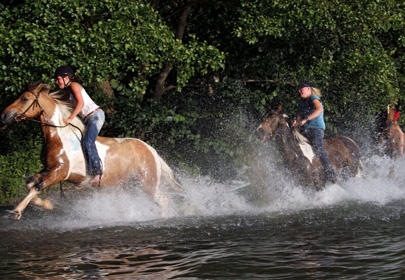 Ein Mädchentraum – Ferien auf dem Ponyhof an den Mecklenburger Seen. – Bild: NDR/​NDR Naturfilm