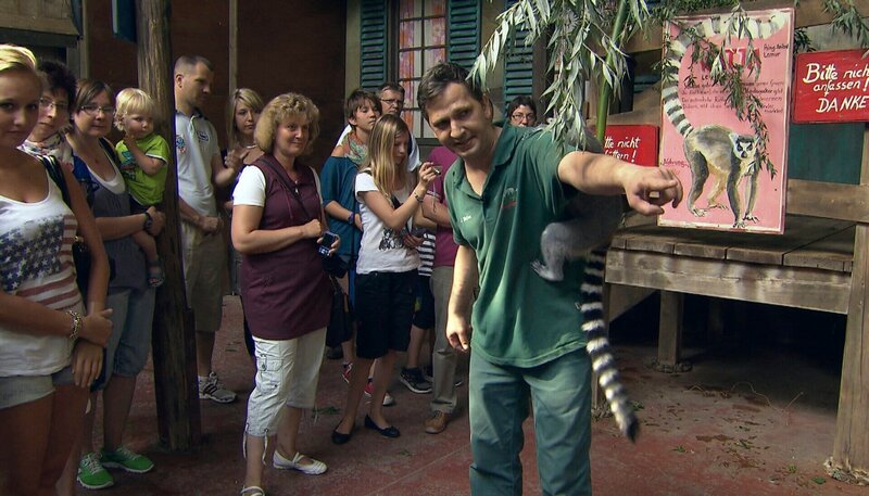 ARD/​NDR LEOPARD, SEEBÄR & CO., FOLGE 148, Jörg Walter erzählt den Besuchern Wissenswertes über seine Kattas. – Bild: NDR/​DocLights GmbH