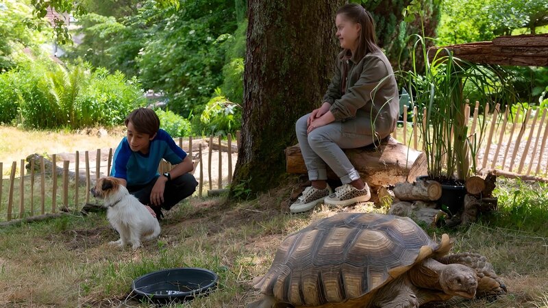 Sam und Sammy – Bild: SWR/​Maria Wiesler