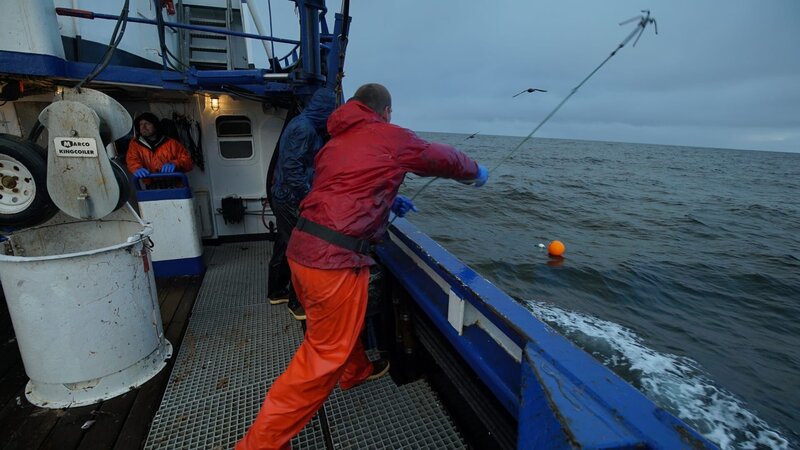 Northwestern Deckhand Clark Pederson throwing the hook. – Bild: Discovery Communications, LLC