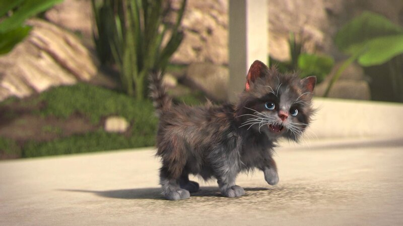 Bild: PLURIMEDIA (TeamTo) Bild: PLURIMEDIA (TeamTo)