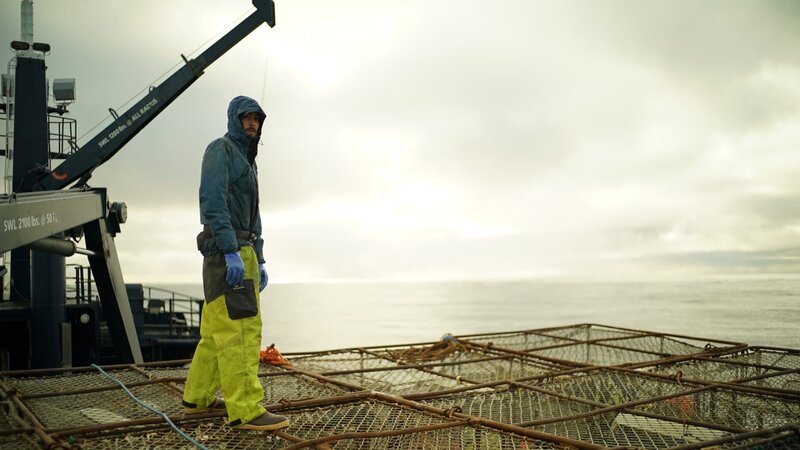 Deckhand Steve aka „Tall Guy“ working on the Southern Wind stack. – Bild: Discovery Communications, LLC