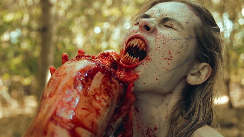 . – Bild: Silverline . – Bild: Silverline