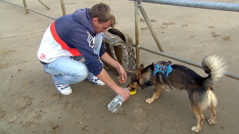 Stephan (39) hat einen neuen Mitbewohner. Mischlingshund Socke bringt frischen Wind ins Leben des Arbeitslosen. – Bild: RTLZWEI