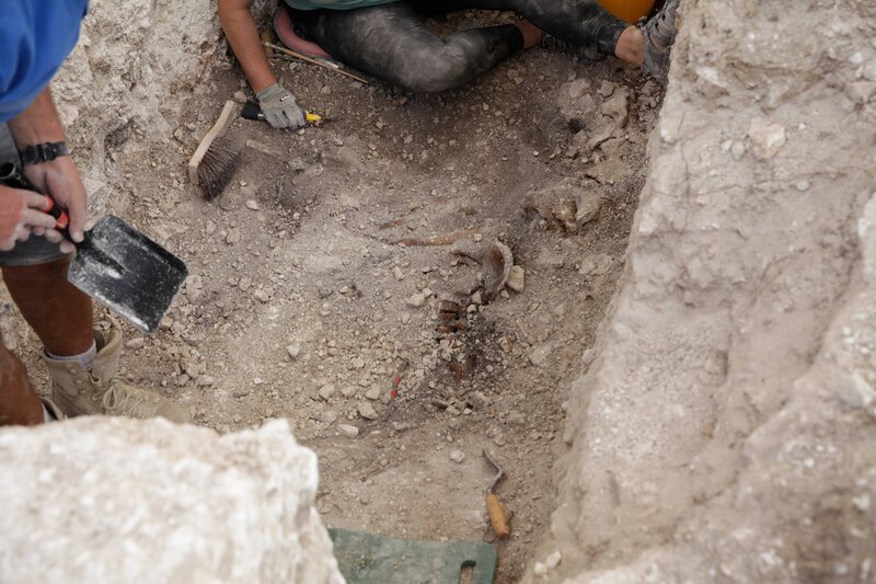 Archäologische Stätte – Bild: History