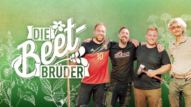 Bild: RTL /​ Beet-Brüder, Die /​ VIII