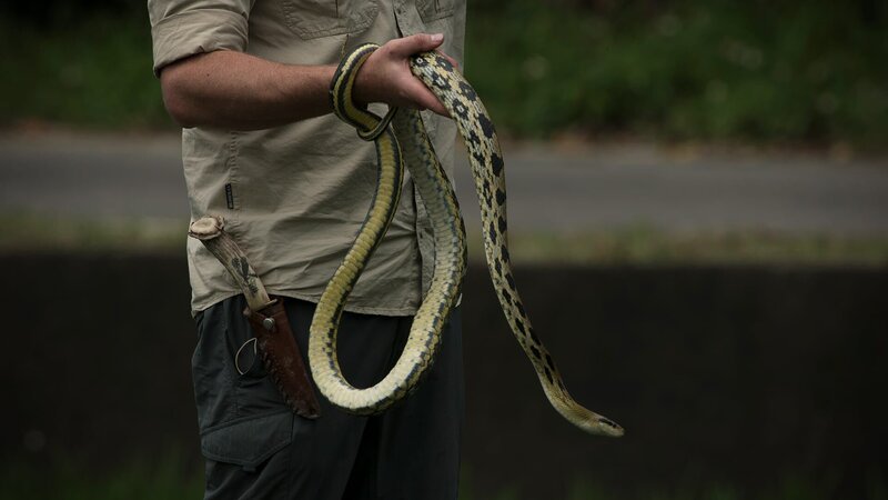 . – Bild: Warner Bros. Discovery