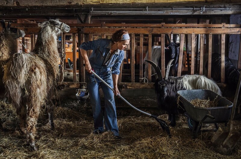 Sophie (Aglaia Szyszkowitz) mistet selbst im Stall. – Bild: ARD Degeto/​Hendrik Heiden