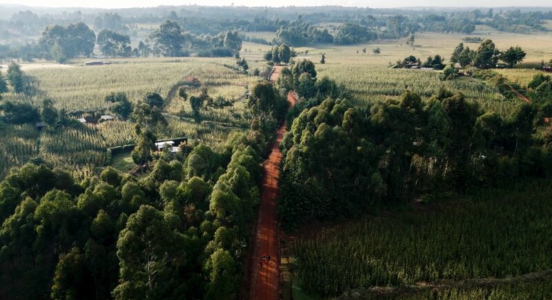 In Iten trainieren die besten Läufer der Welt. – Bild: RB, Julian Krätzig /​ ZDF und RB, Julian Krätzig
