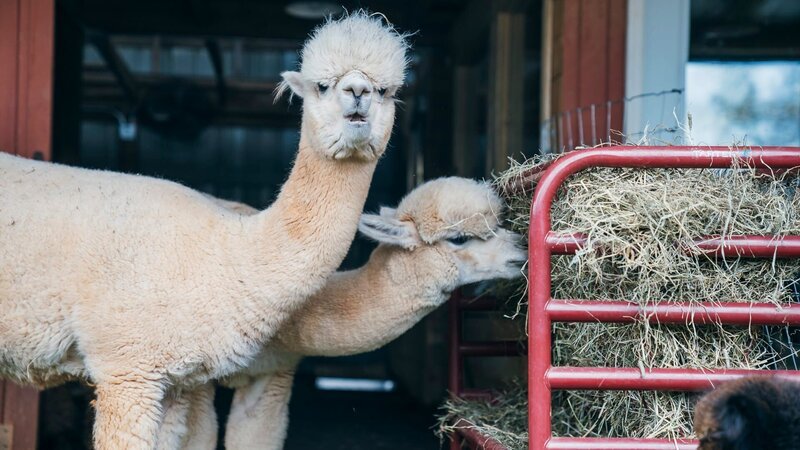 This image has been distributed to our partners. – Bild: Warner Bros. Discovery