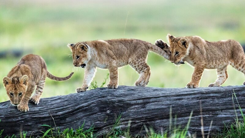 . – Bild: Warner Bros. Discovery